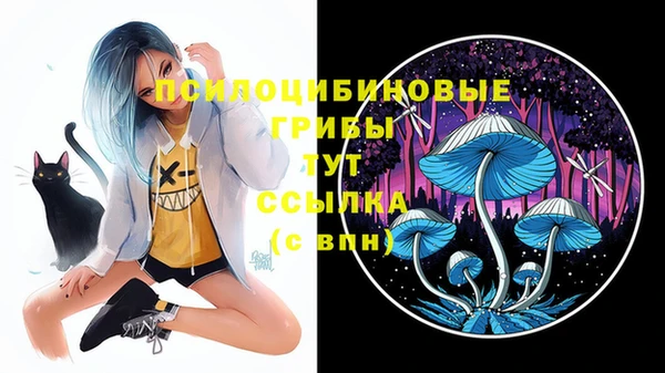 молекула духа Абдулино