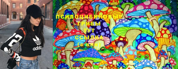 стафф Алексин