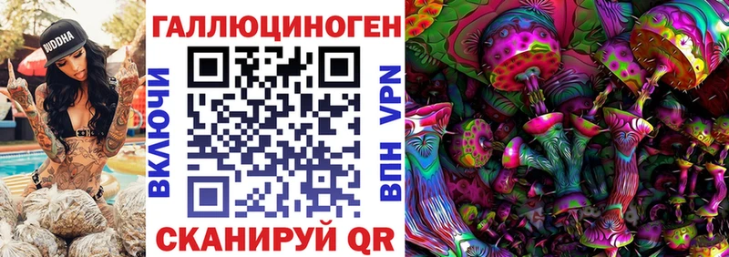 Галлюциногенные грибы Psilocybe  Заволжье 